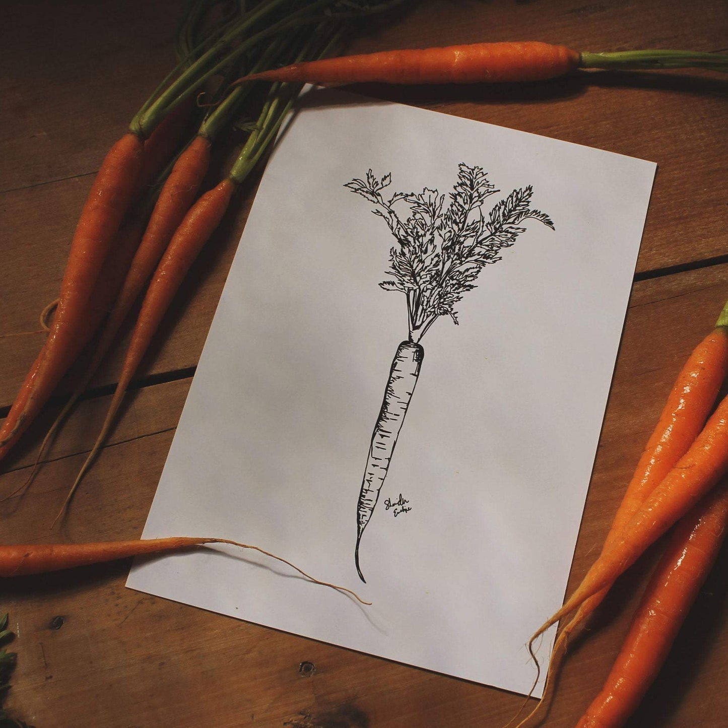 Carrot vegetable - Print
